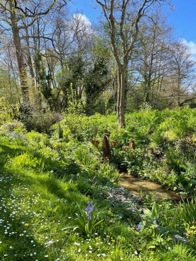 Beech Hut - A Streamside Family Escape Near Salcombe And Beaches South Milton ภายนอก รูปภาพ